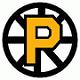   Providence Bruins